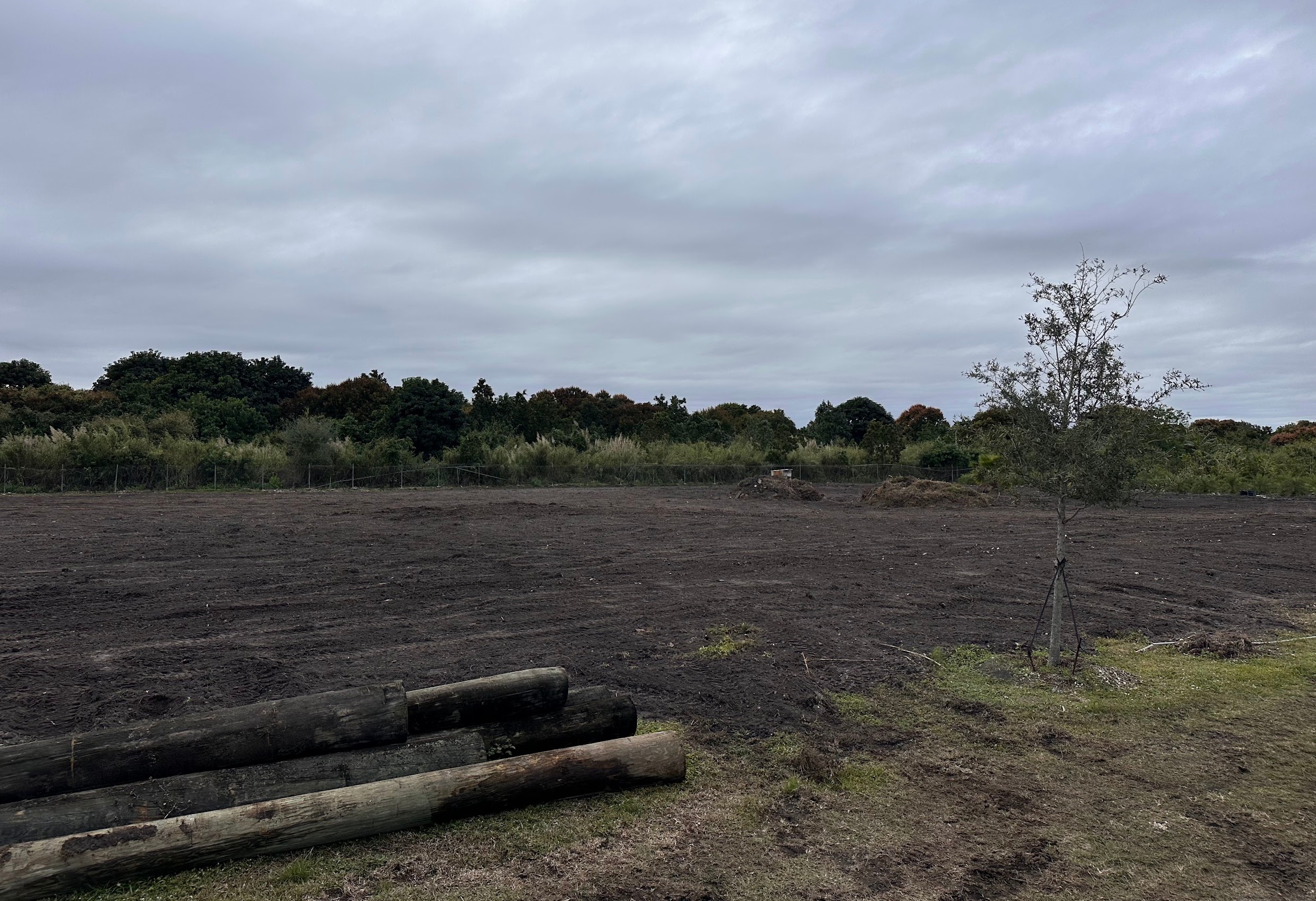 Professional skid steer equipment for land clearing in South Florida